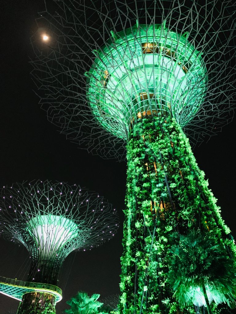 Supertrees in Garden on the Bay