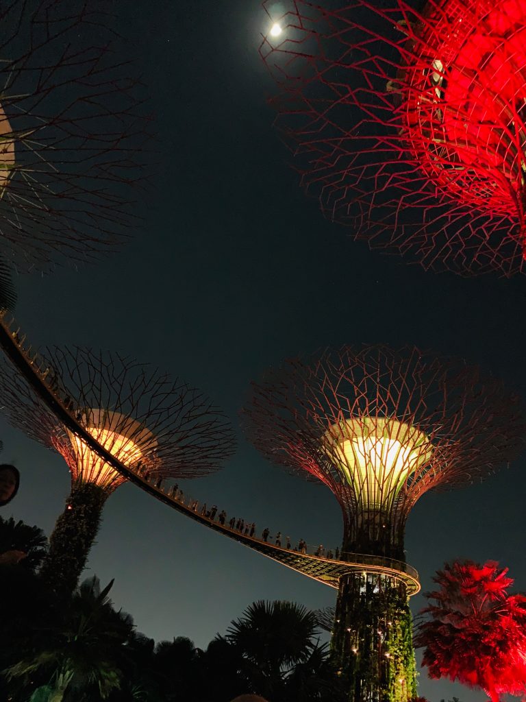 Lights show Supertrees