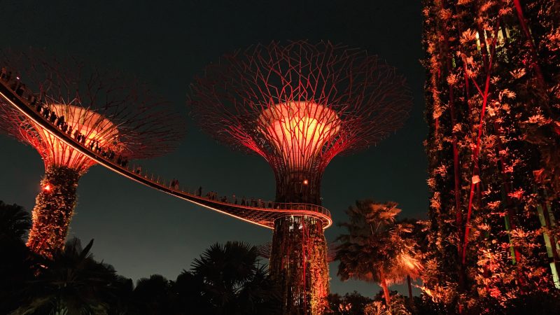 Luces supertrees singapur